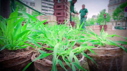 Interview Ruba ALABED - BIOPLASMAR - 2017