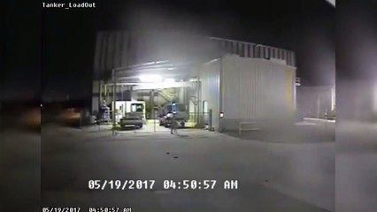 Naked Florida man steals truck with swan sculpture in back