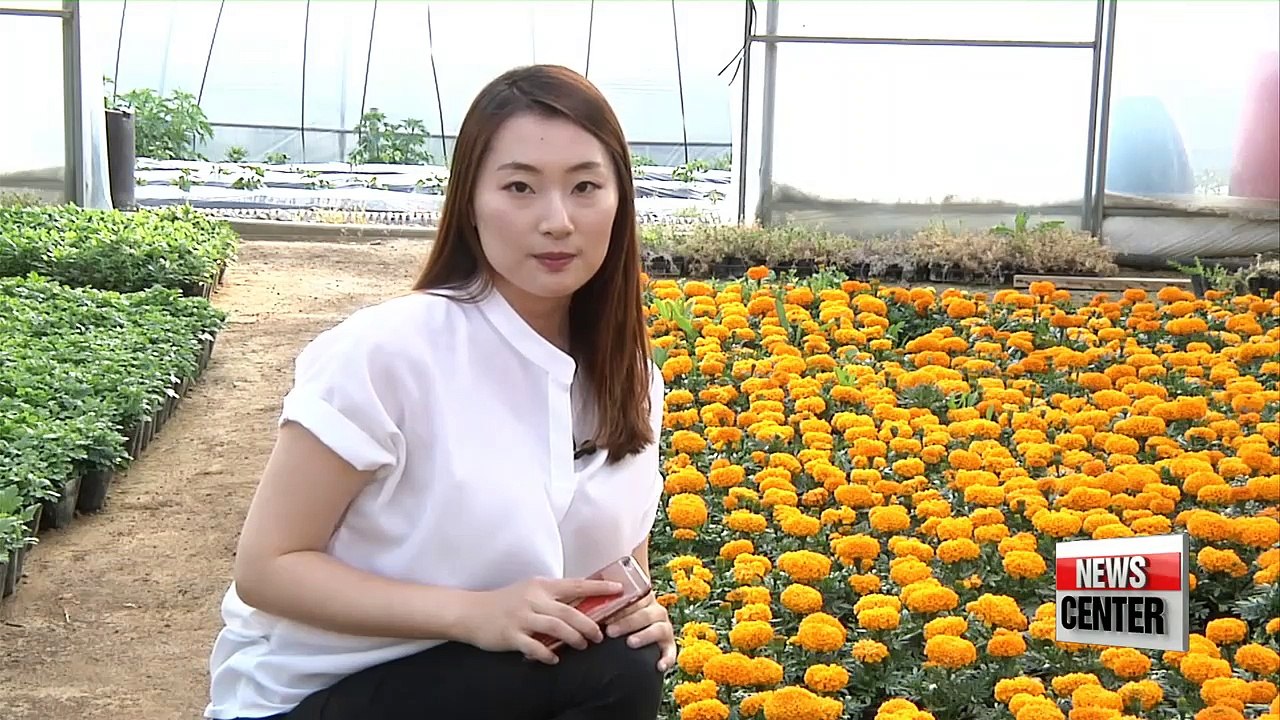 ICT technology helps produce better quality agricultural products, makes farming less labor-intensive