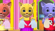 Three Little Kittens Nursery  3D English Nursery Rhymes for Children