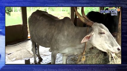 #Dravida Nadu Hastag Trends In Twitter and The Storm Mora, will cross the Bangladesh Border in 24 hours.