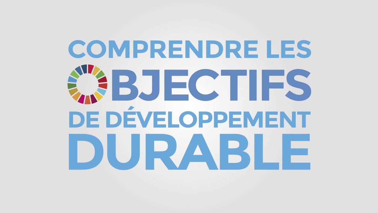 Comprendre les objectifs de développement durable