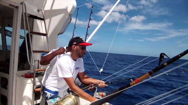 PÊCHE AU GROS Marlins, Thons, dorades, wahoo, avec LE TRIO