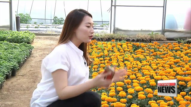 ICT technology helps produce better quality agricultural products, makes farming less labor-intensive