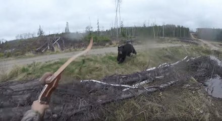 Attaqué sauvagement par un ours, ce chasseur s'en tire par miracle