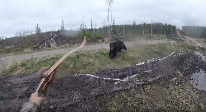 Attaqué sauvagement par un ours, ce chasseur s'en tire par miracle