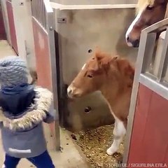 Just a boy and his pony