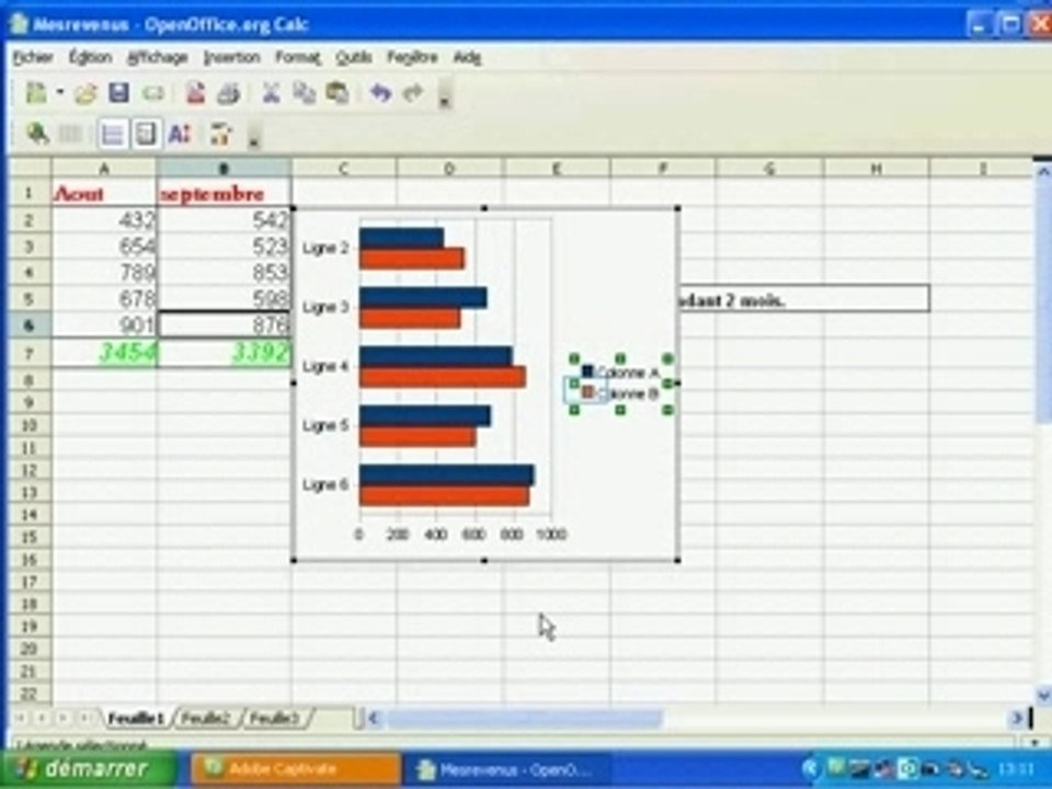 Tutoriel excel: SAUVESOURIS.com