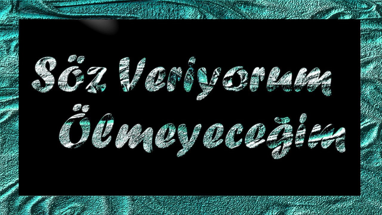 Şair Yazar Enver ÖZEL'in Söz Veriyorum Ölmeyeceğim Şiiri