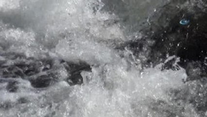 Erciş'te İnci Kefalinin Göç Serüveni