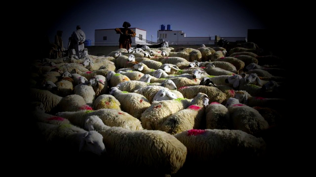 A Destruição da Humanidade   judaísmo, cristianismo e islamismo são os responsáveis[2]