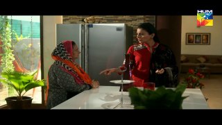 Sangsar Episode 41 hd 29 May 2017 HUM TV Drama -