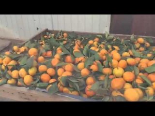 In the hood in China with TMT Dejuan Blake - ESNEWS BOXING