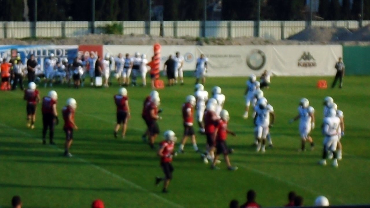 DAUPHINS VS BLACK PANTHERS