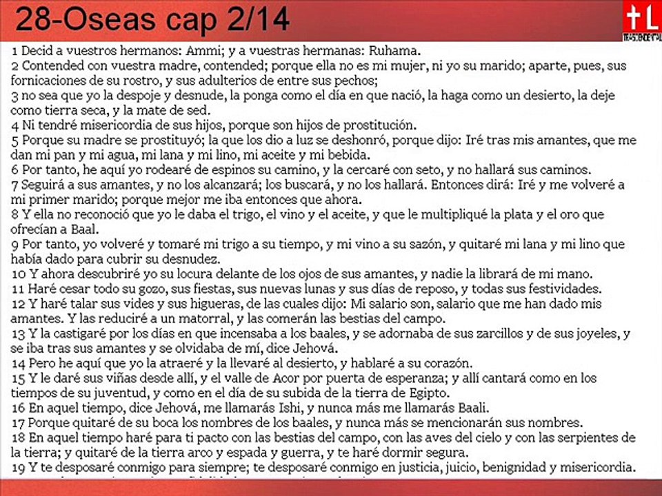 28-Oseas