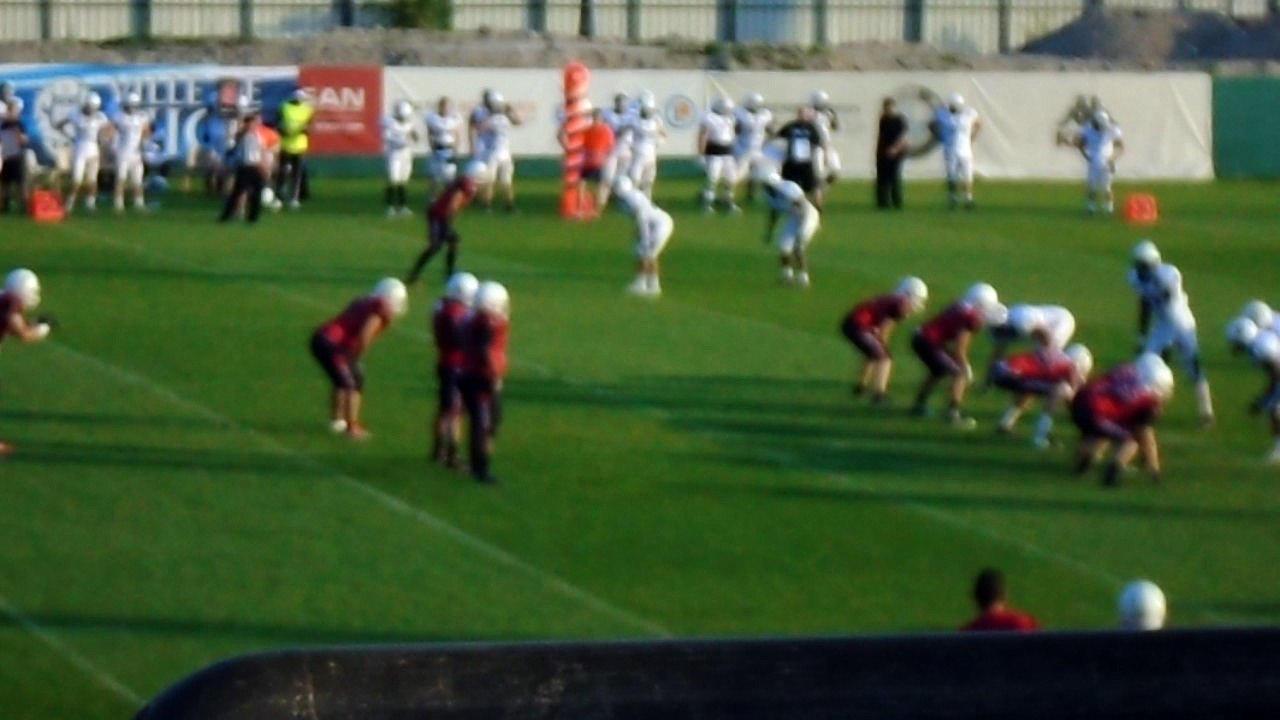 DAUPHINS VS BLACK PANTHERS