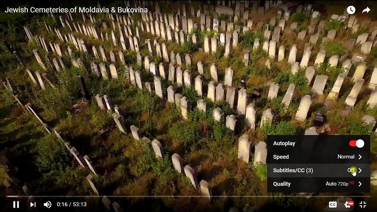 Tutorial subtitles for You Tube