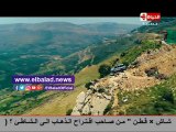 تامر أمين ينطق الشهادة عقب تعرضه لحادث سير في لبنان
