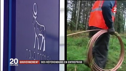 Faciliter le référendum en entreprise : ce qu'il faut savoir du projet d'Emmanuel Macron