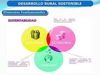 Desarrollo rural sustentable en espanol