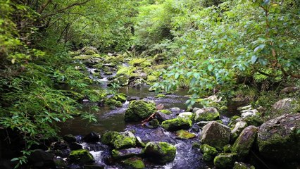 Relaxation Music With  Most Beautiful Waterfalls  Natural  video For Stress Relief 5 Minutes