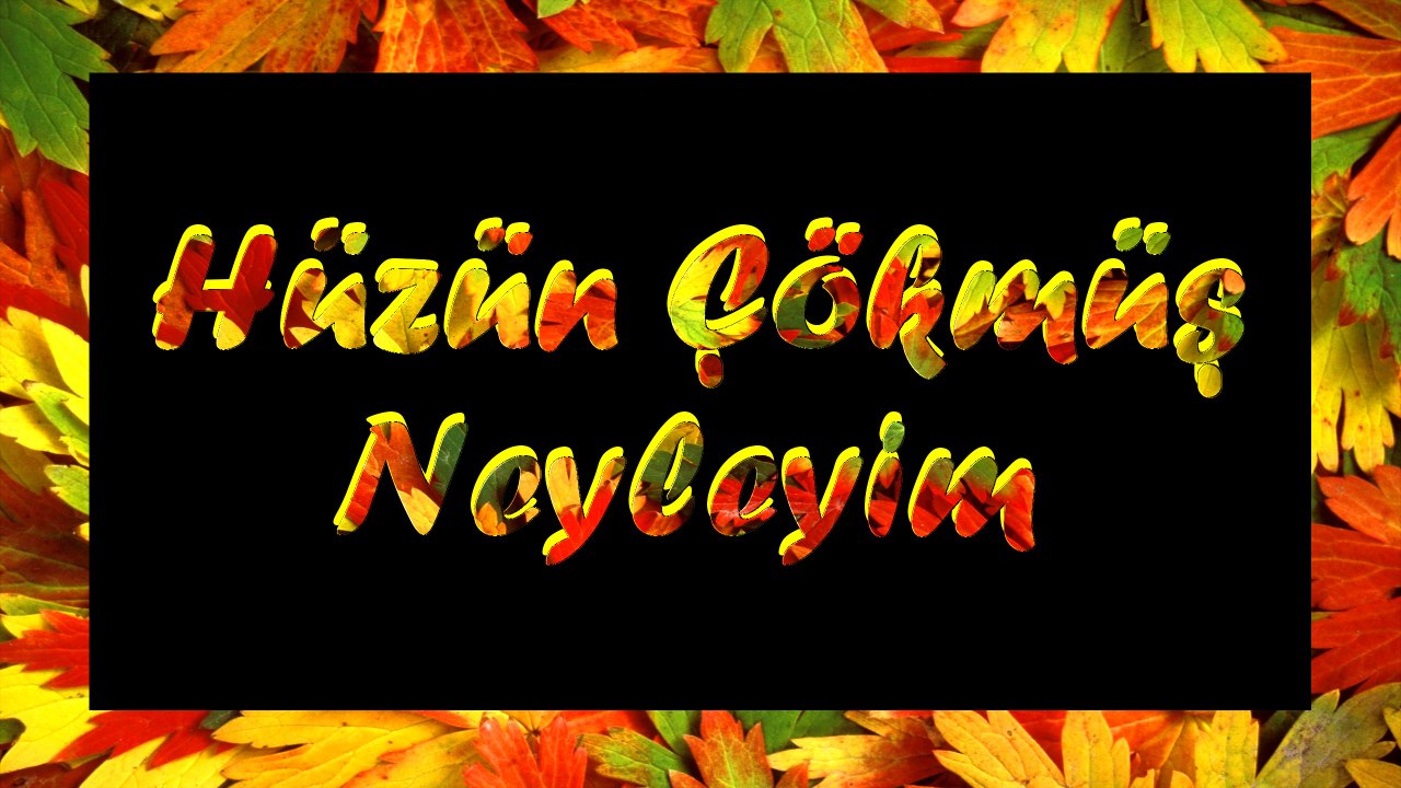 Şair Yazar Enver ÖZEL'in Hüzün Çökmüş Neyleyim Şiiri