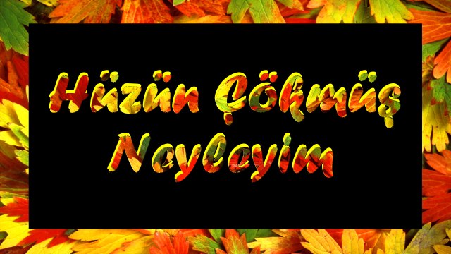 Şair Yazar Enver ÖZEL'in Hüzün Çökmüş Neyleyim Şiiri