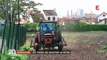 Environnement : la France souhaite préserver ses terres agricoles