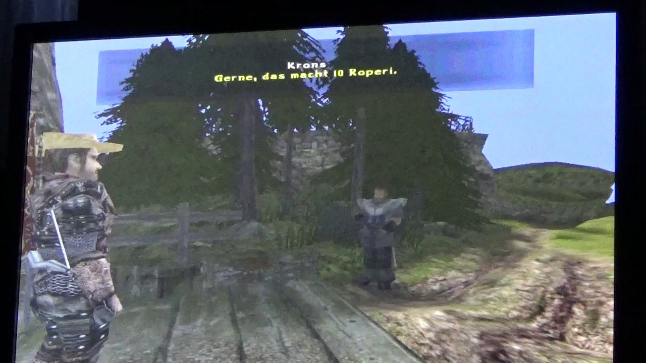 schwerer Bug