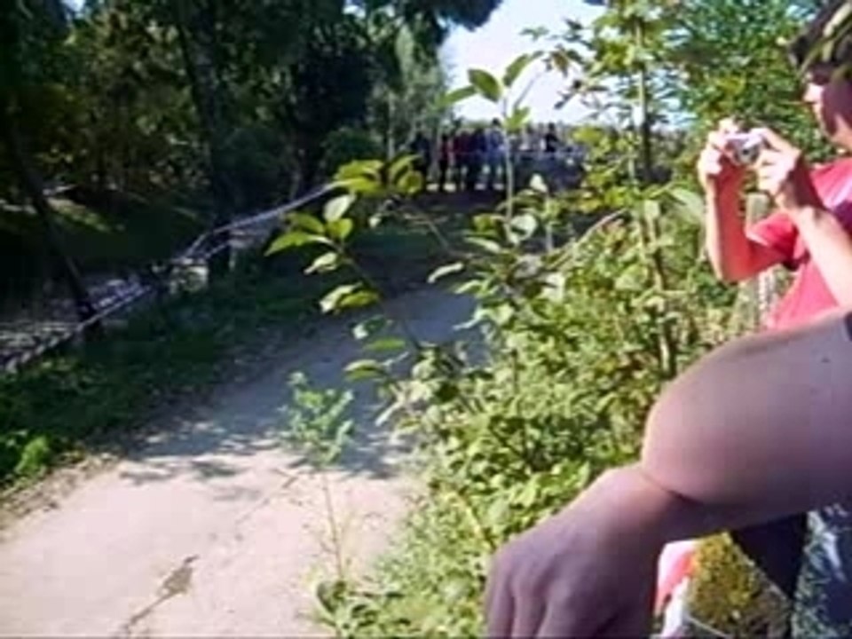 Rally van Haspengouw  Princen