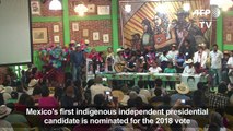 Mexico's indigenous appoint female presidential candidate