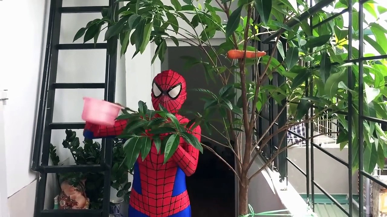 CONGELADA ELSA GRÁVIDA Vs HOMEM ARANHA Frozen Elsa Preso Homem Aranha - Videos Engraçados