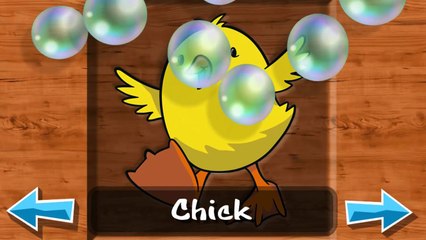 Baby Animals Learn Puzzle | Animal Learning Puzzle Kids games by Winterworks gmbh HD