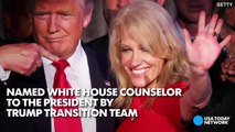 Kellyanne Conway - Trump's pick for White House counselor-ObXdDTxuBcY
