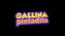 LOS POLLITOS DICEN - Gallina Pintadita - OFICIAL-qcOiqtMsjes