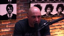 Joe Rogan and Gavin McInnes on Milo Yiannopoulos Controversy - Downloaded from youpak.com