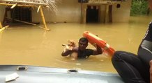 Indian Navy Rescues Stranded Dogs, Assists in Sri Lanka Flood Relief Efforts