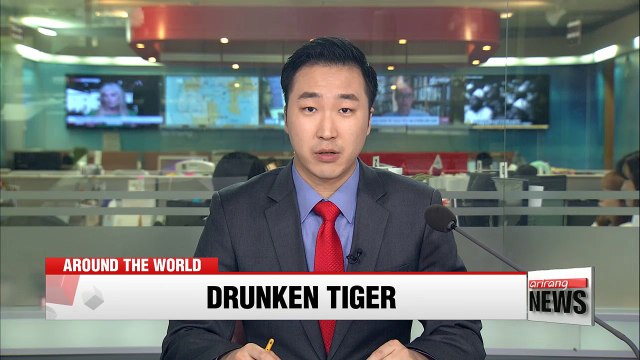 Tiger Woods arrested for DUI