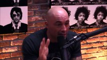 Joe Rogan and Gavin McInnes on Milo Yiannopoul