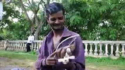 Vale a pena divulgar