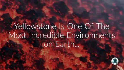 HOW & WHEN WILL THE WORLD END? | The Observatory