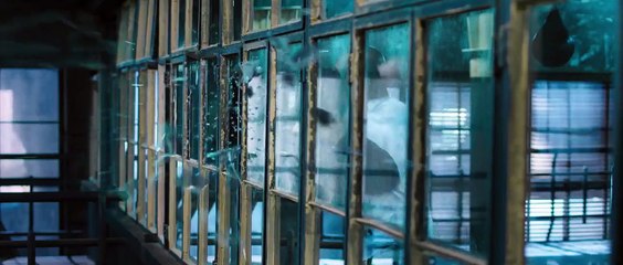 Ip Man Mike Tyson Fight...