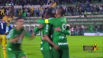Chapecoense 2 x 0 Avaí - Melhores Momentos & Gols - Brasileirão Série A 2017-gFHSBRXqMDc