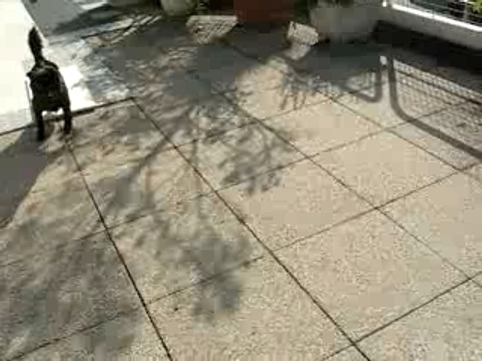 MVI_8898