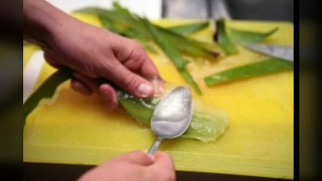 aloe vera 92 soothing gel lip balm