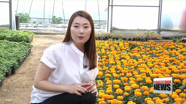 : ICT technology helps produce better quality agricultural products, makes farming less labor-intensive