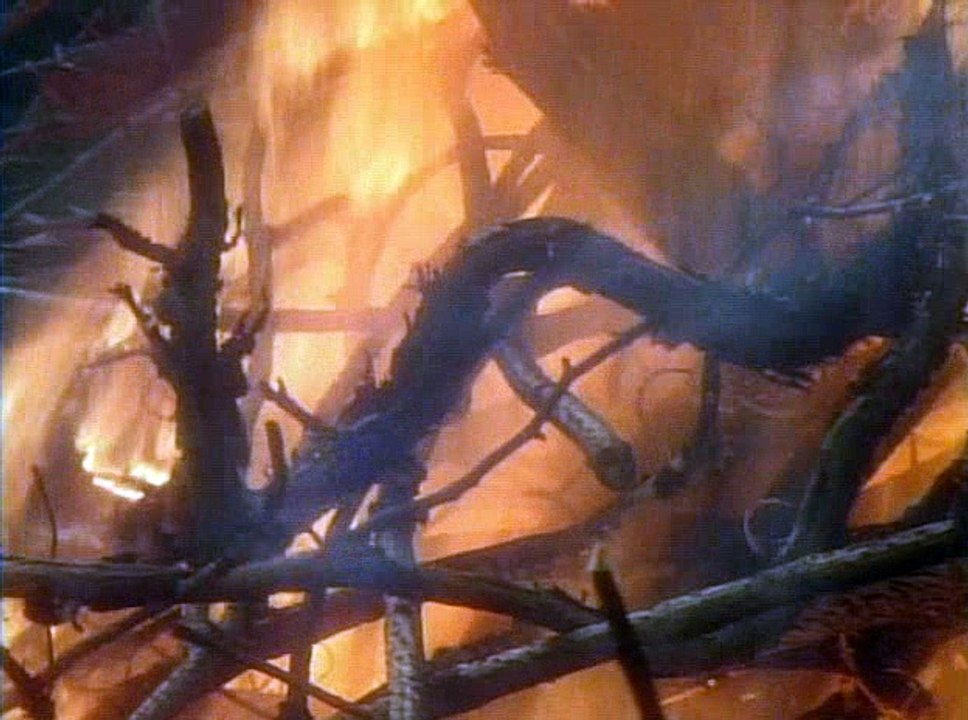 Vzaimosviazi.s02.e01.Revolucii.1994.DivX.DVDRip.Kinozal.TV