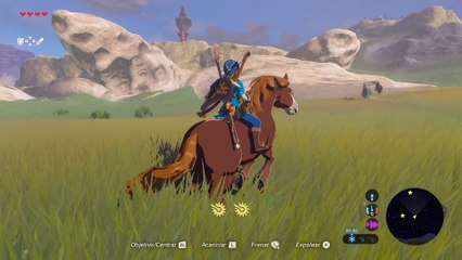 The Legend of Zelda- Breath of the Wild - Campaña Español - Parte 16