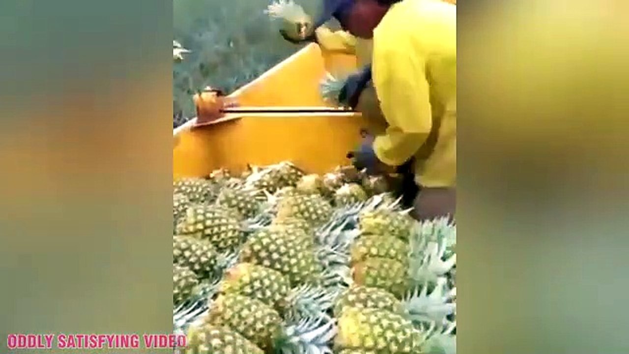 Oddly Satisfying Video 1