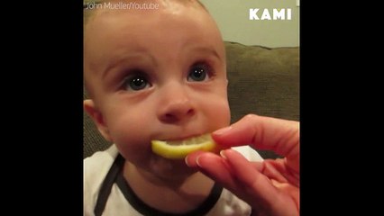 Baby Eat Lemon Very Laughing Videos -hd